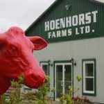 Hoenhorst Farms Ltd.