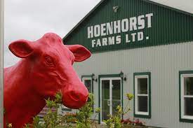 Dairy Farm Worker At Hoenhorst Farms Ltd.